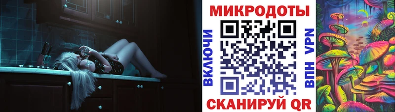 Купить  Судогда  Галлюциногенные грибы Psilocybine cubensis 